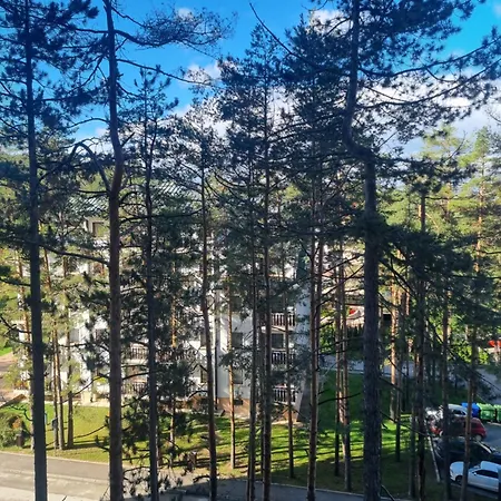 Royal Garden Centar Appartamento Zlatibor